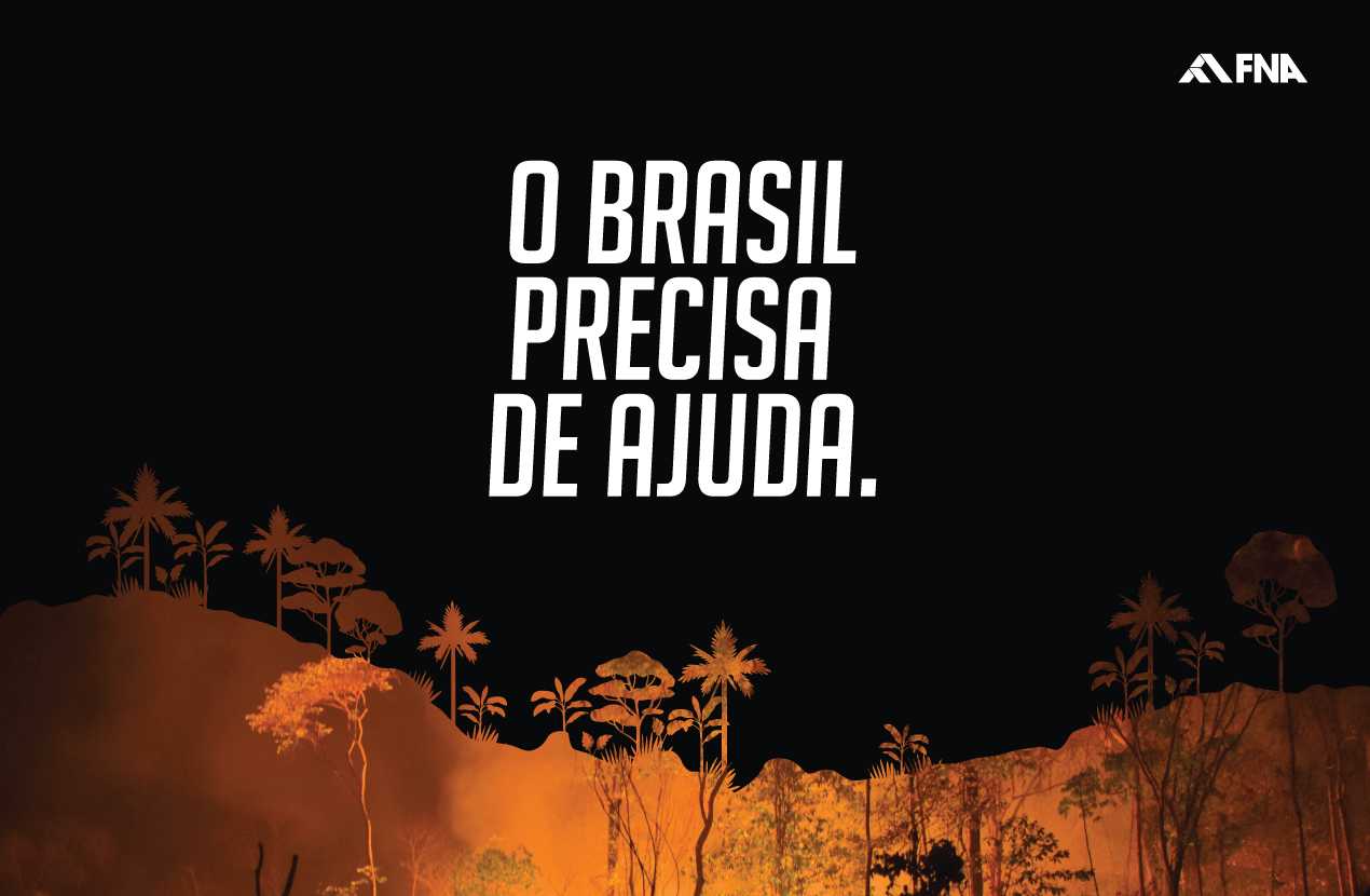 Alerta sobre a devastação e as queimadas no Pantanal